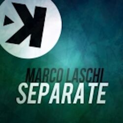 Cover of Separate