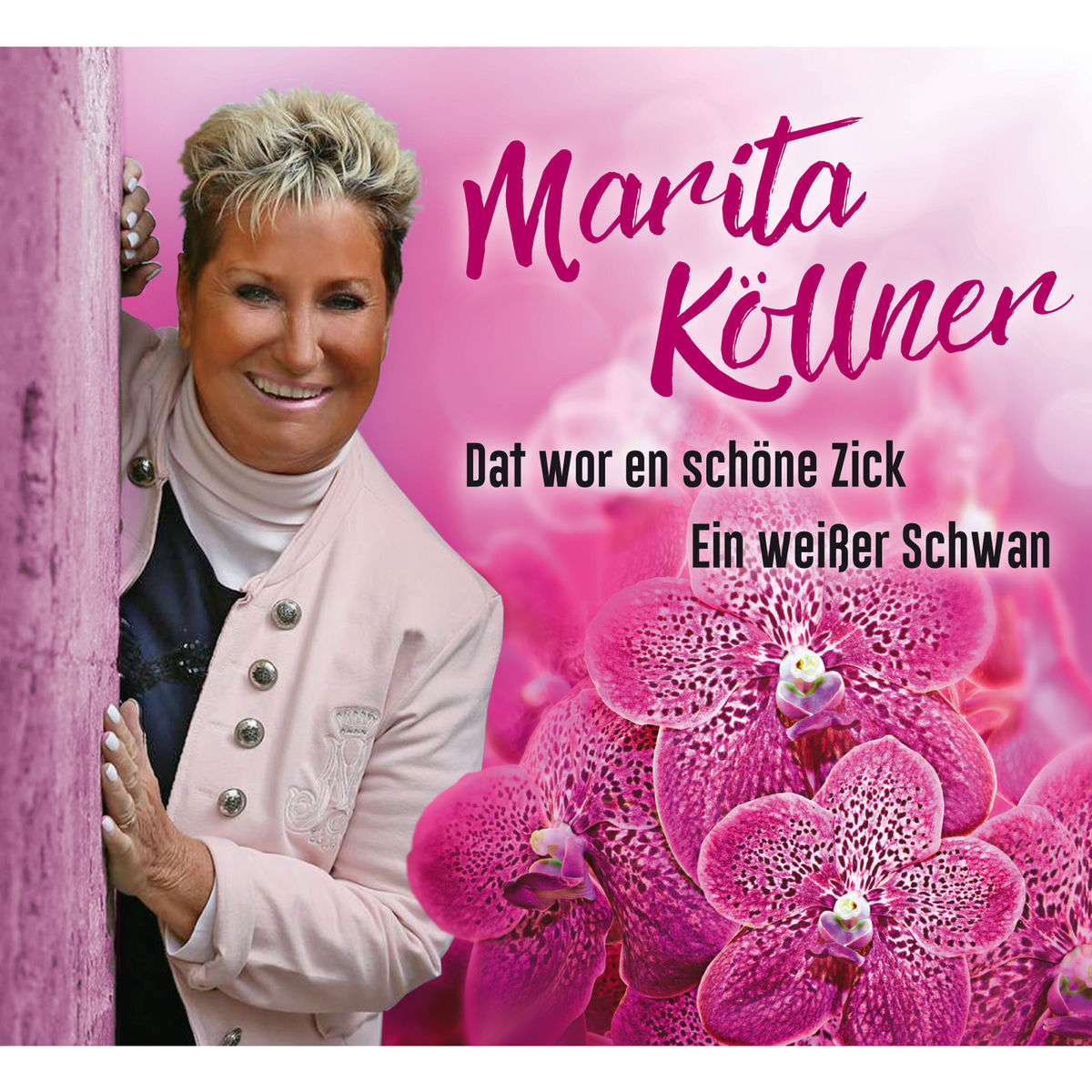 Album cover of Dat wor en schöne Zick