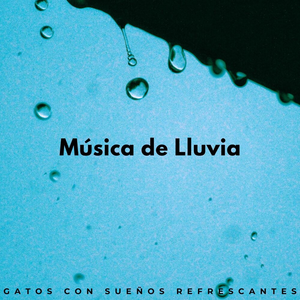 Picture of Música De Lluvia: Gatos Con Sueños Refrescantes