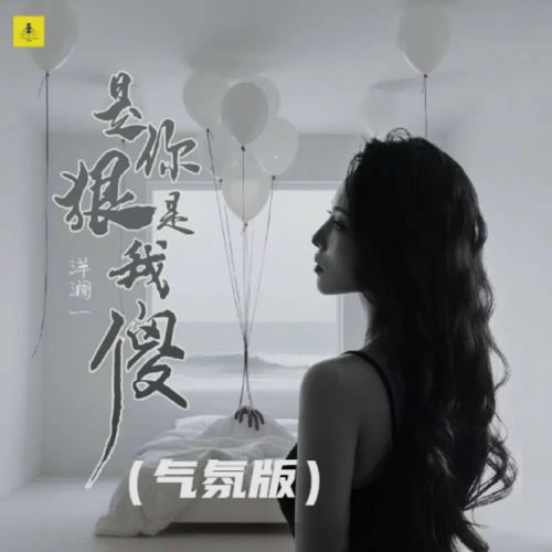 是你狠是我傻 (气氛版)