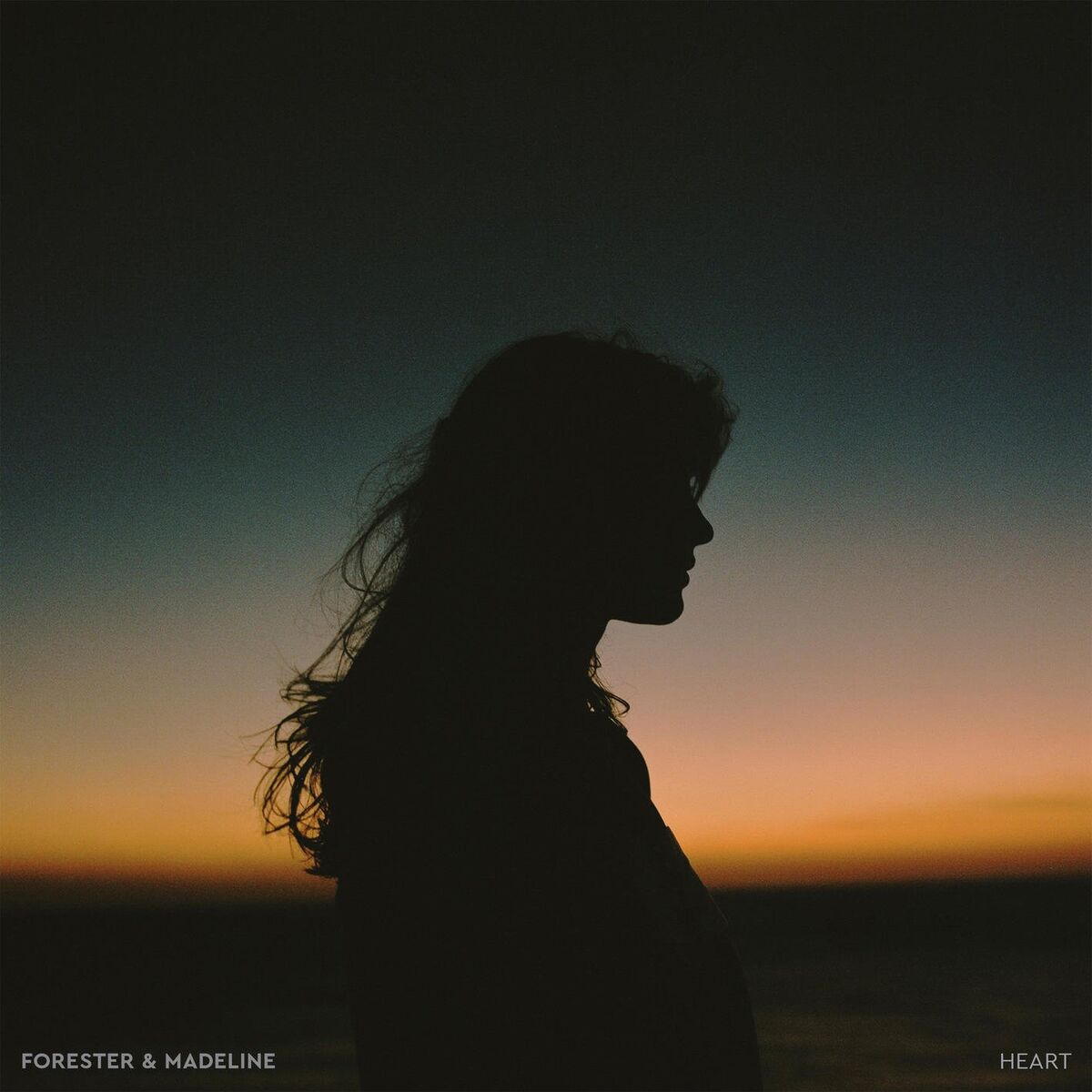 Album cover of Heart