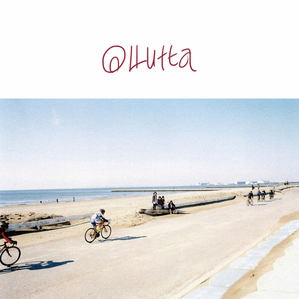 Picture of olutta