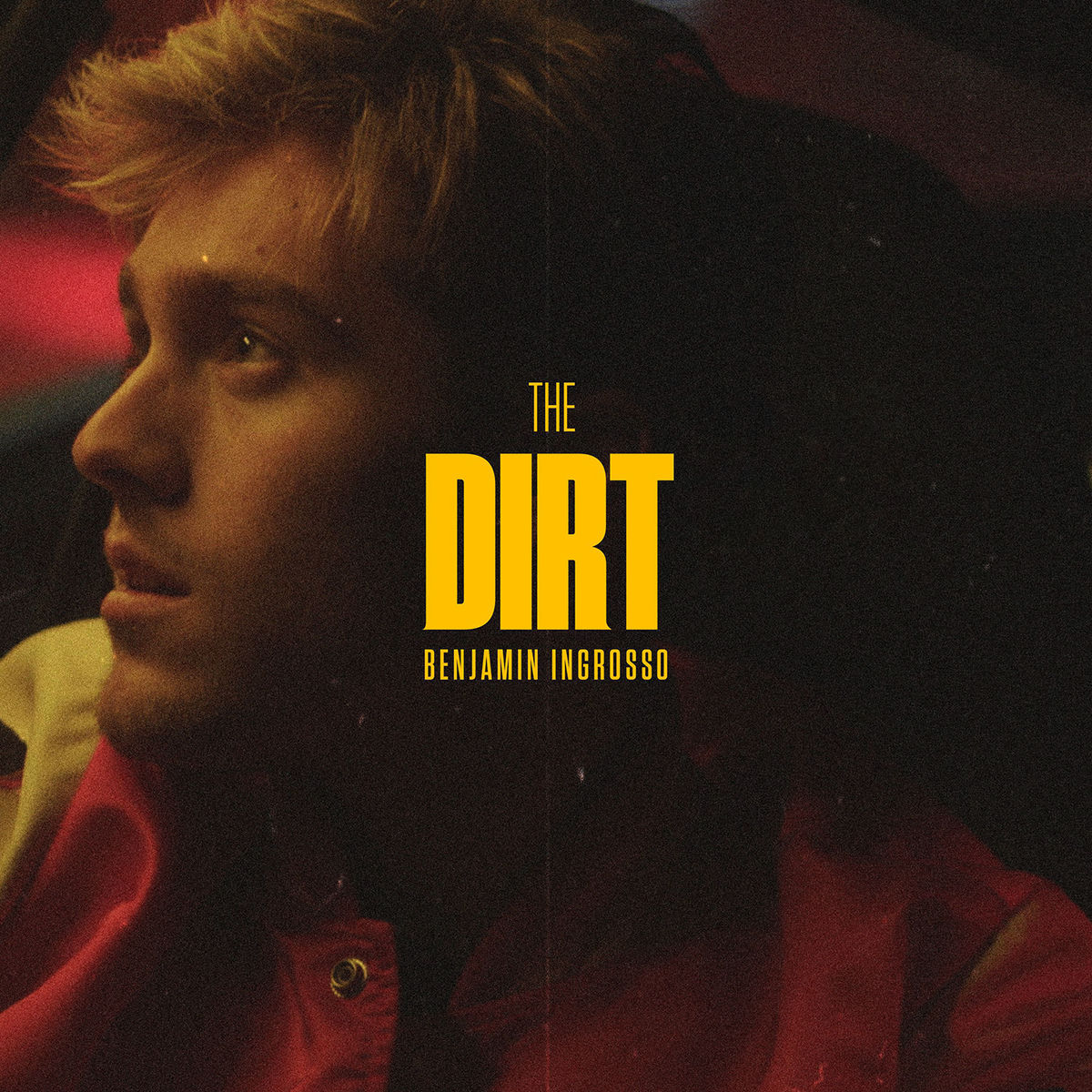 Album cover of The Dirt