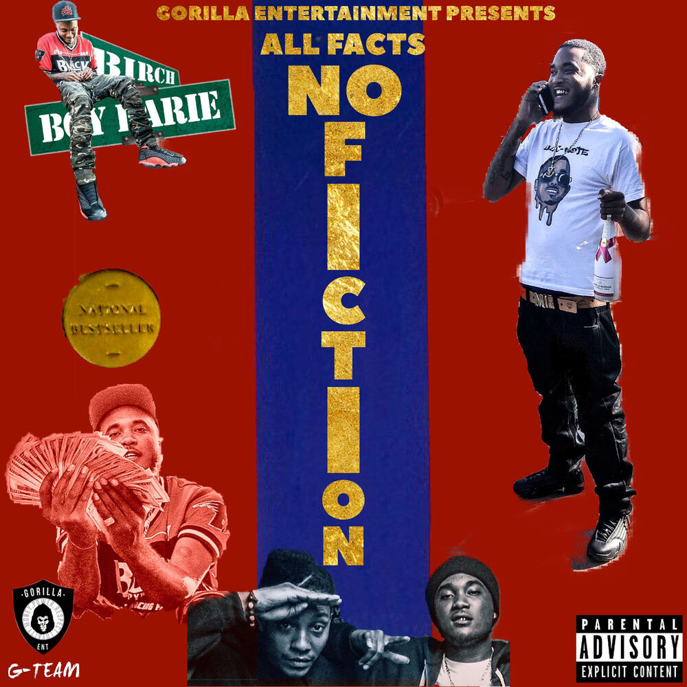 Picture of All Facts No Fiction