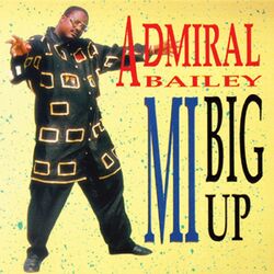 Cover of Mi Big Up