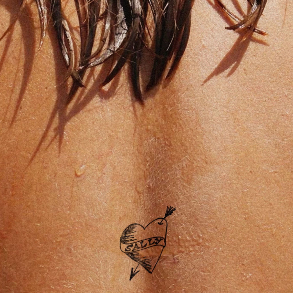 Album cover of Sally