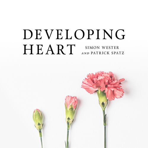 Developing Heart by Before Flags - 101 BPM