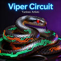Viper Circuit