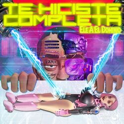 Cover of Te Hiciste Completa