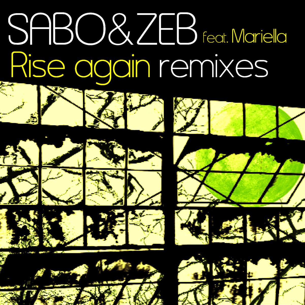 Album cover of Rise Again Remixes