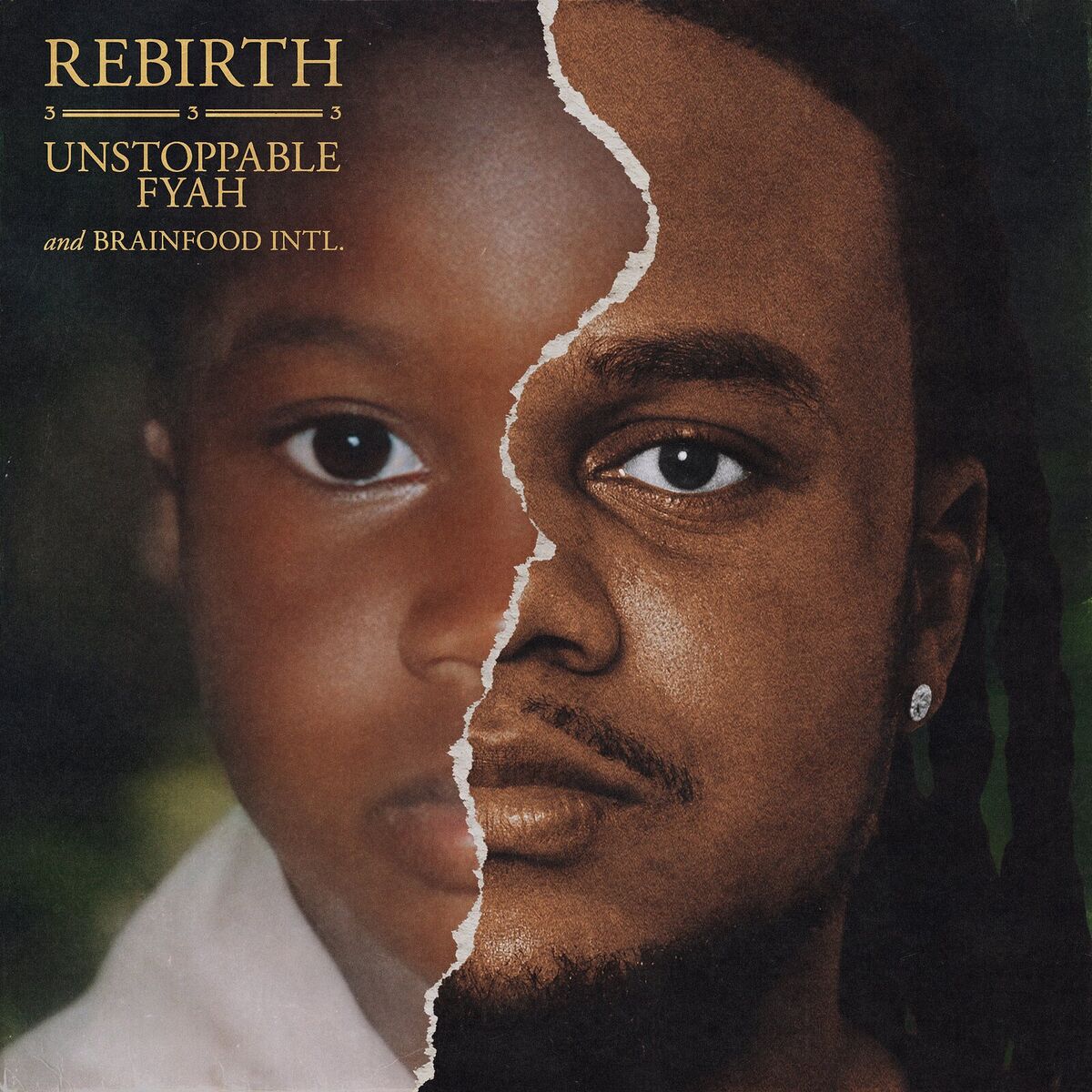 Album cover of Rebirth 333