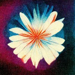 Cover of Living Breathing Miracle (Live)
