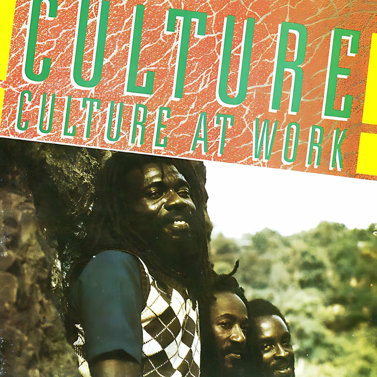 Album cover of Culture At Work