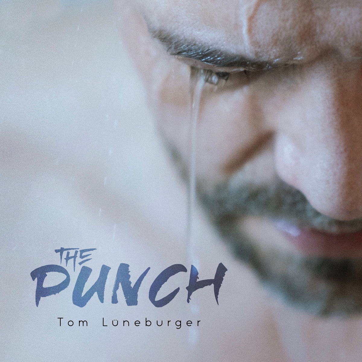 Album cover of The Punch