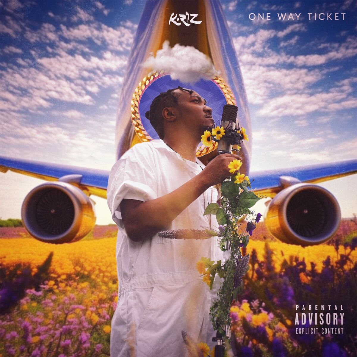 Album cover of One Way Ticket (Instrumentals)