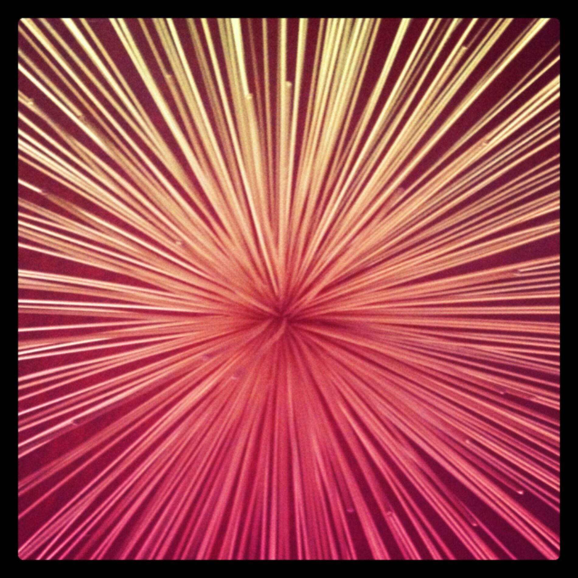 Album cover of Run