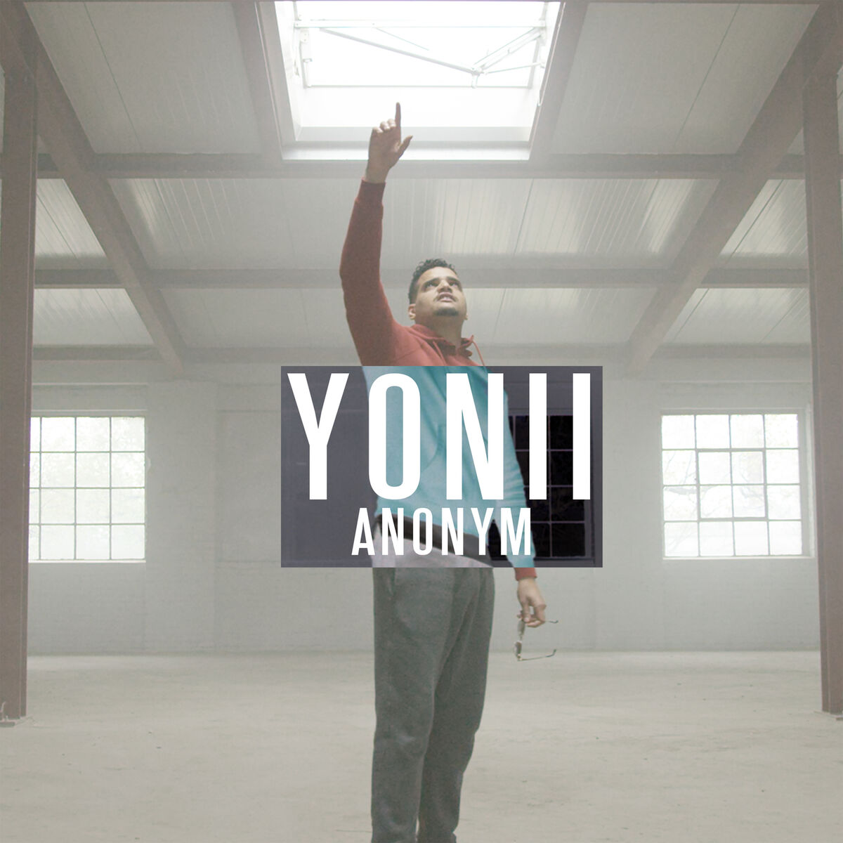 Album cover of Anonym