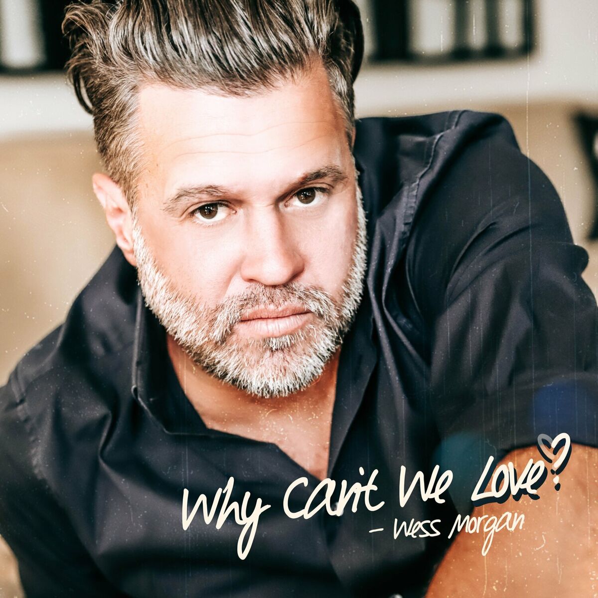 Album cover of Why Can't We Love? (feat. Lizzie Morgan)