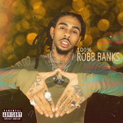 Cover of Stop Snitchin