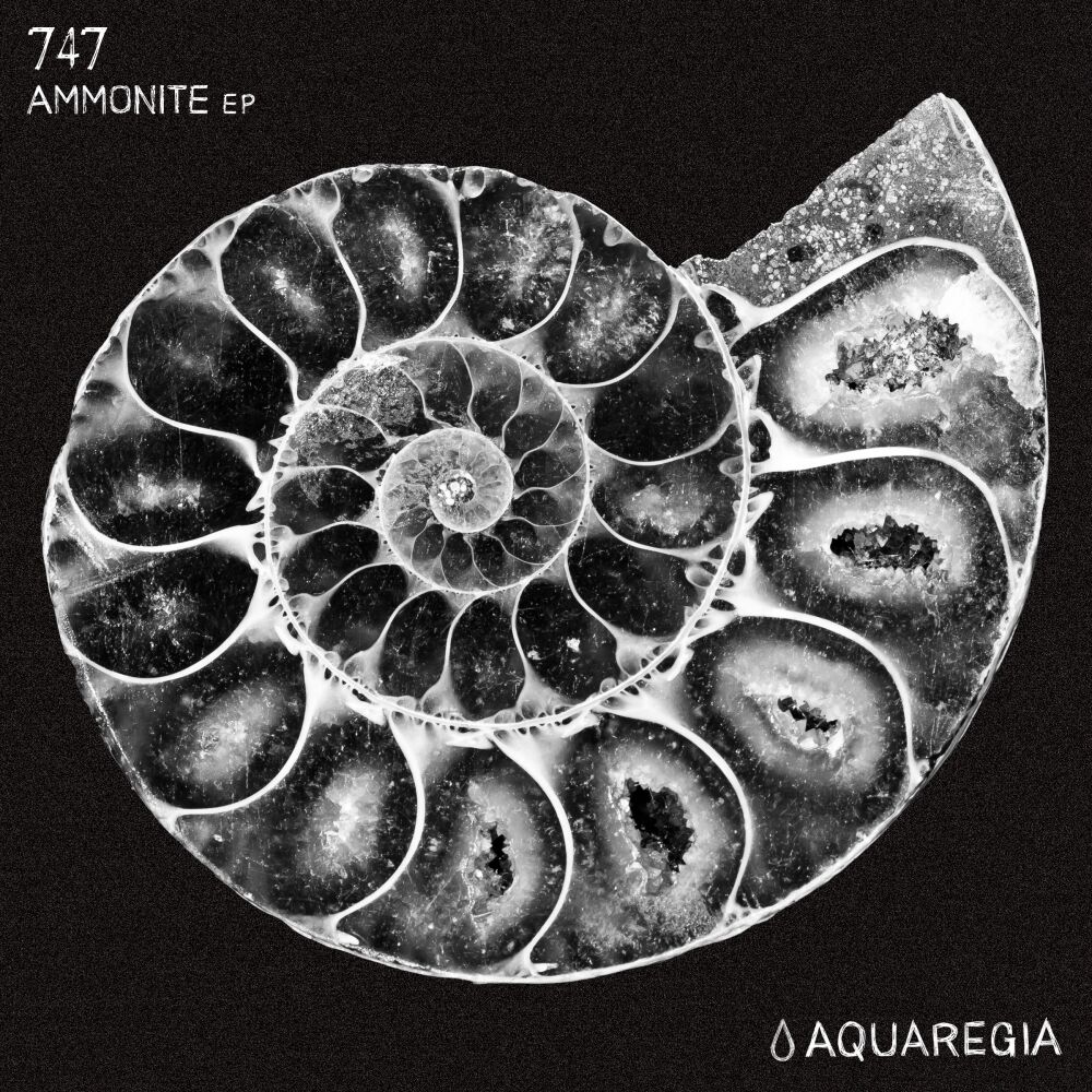 Picture of Ammonite EP