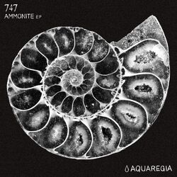 Cover of Ammonite EP