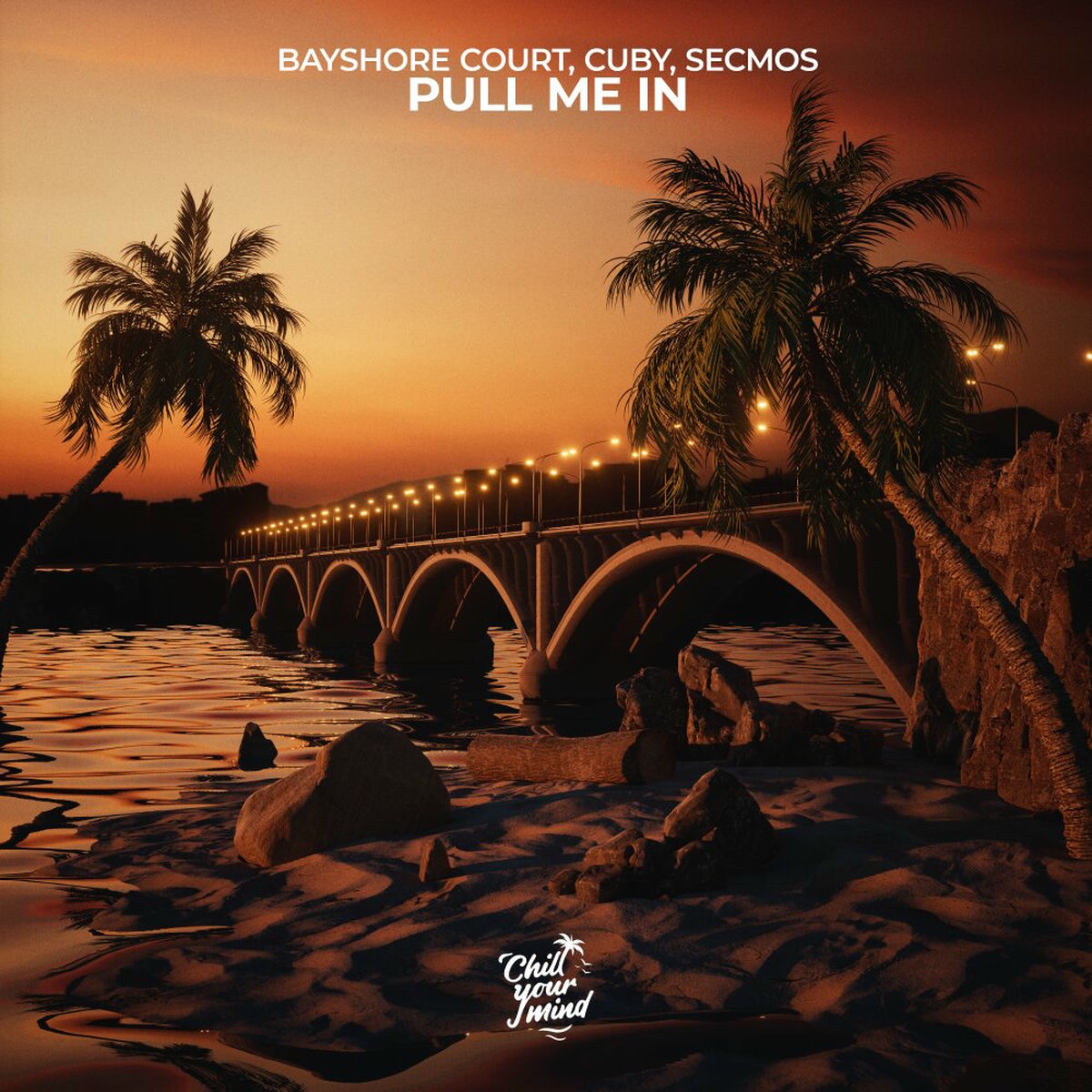Album cover of Pull Me In