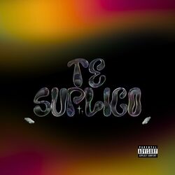Cover of Te Suplico
