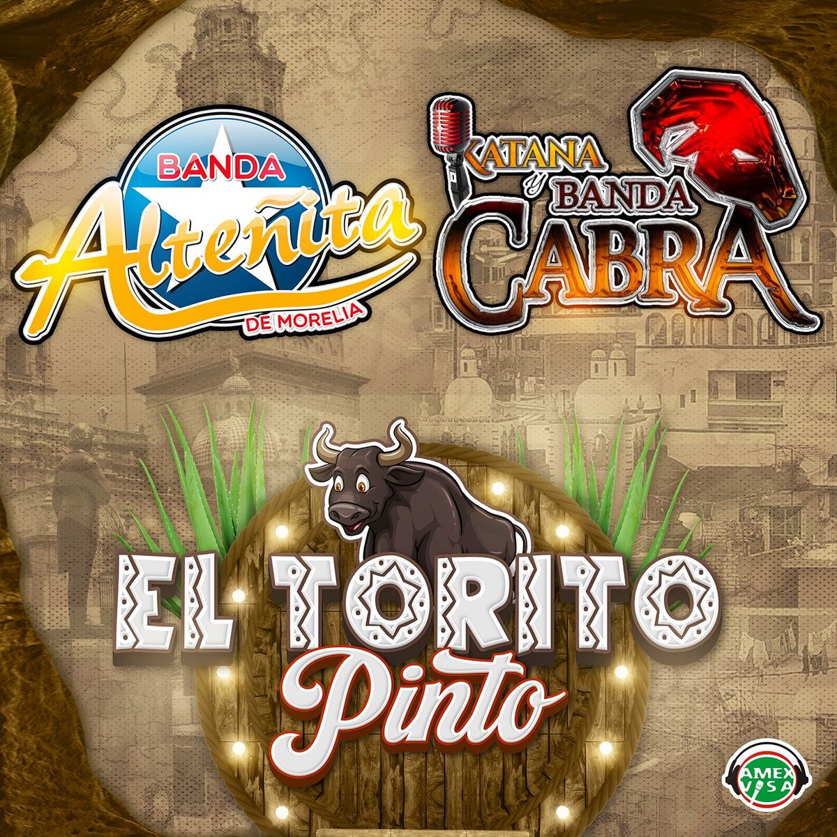 Album cover of EL TORITO PINTO