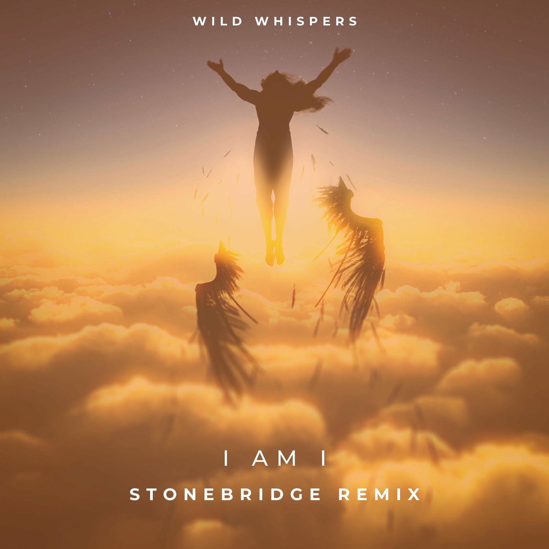 Album cover of I Am I (Stonebridge Remix (Radio Edit)