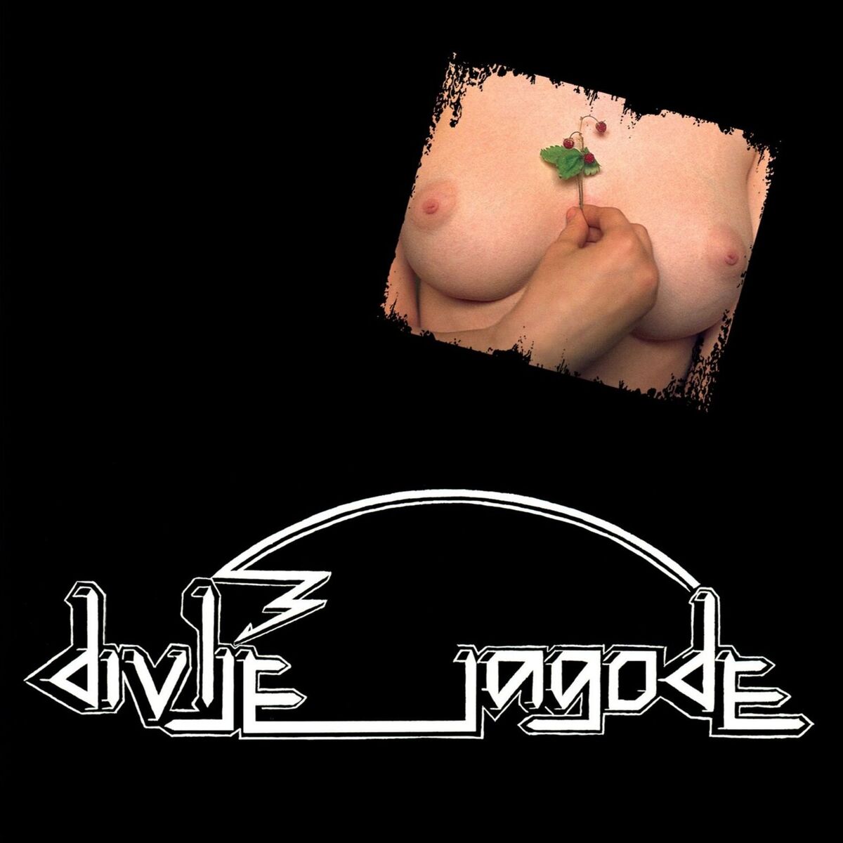 Album cover of Divlje Jagode