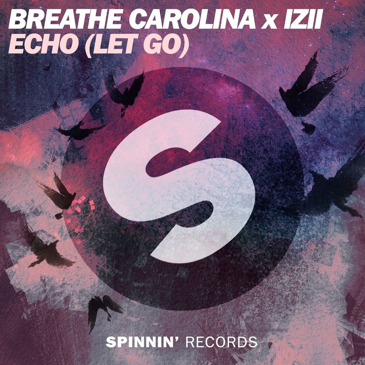 Album cover of ECHO (LET GO)