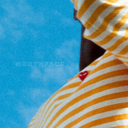 Cover of North Face