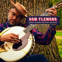 Cover of Guess I'm Doing Fine