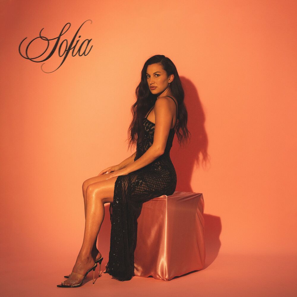Picture of SOFIA