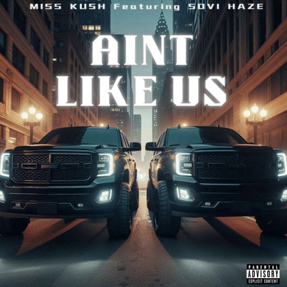 Picture of Ain’t Like Us