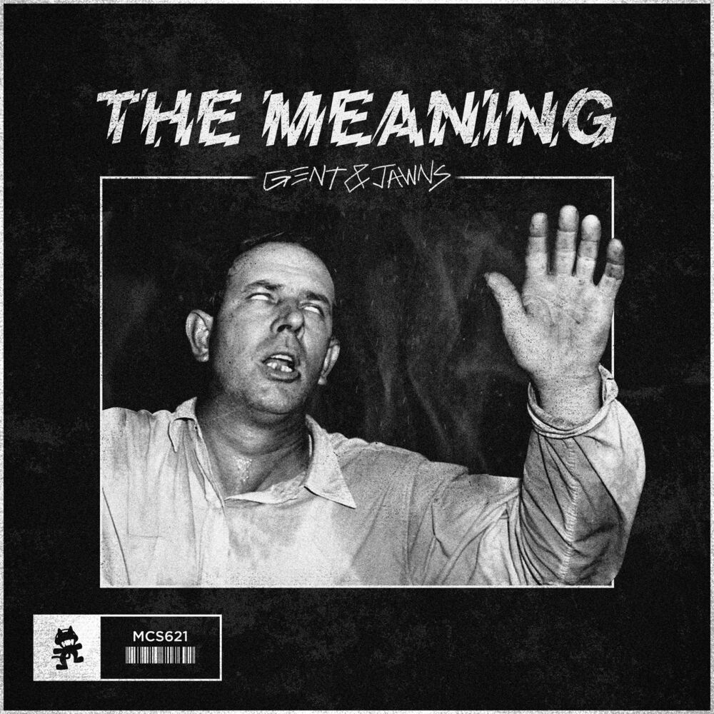 Picture of The Meaning