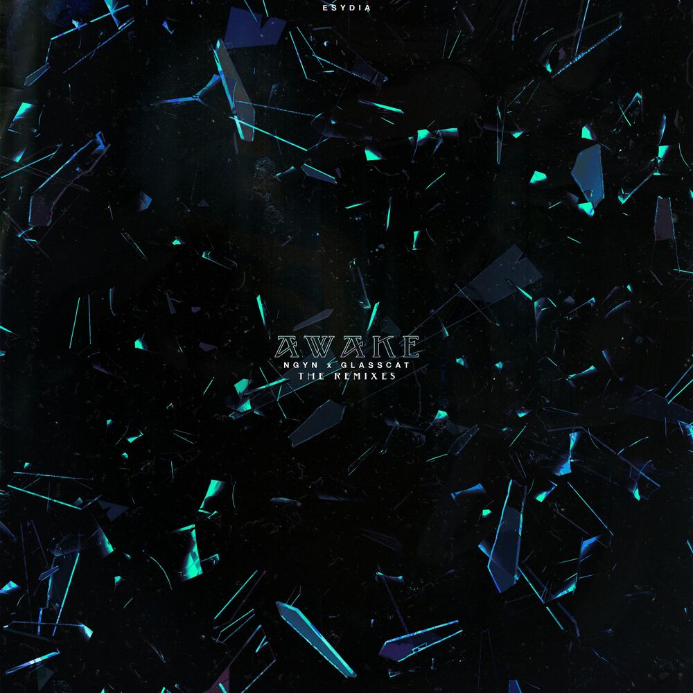 Picture of Awake - The Remixes
