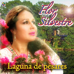 Cover of Laguna De Pesares
