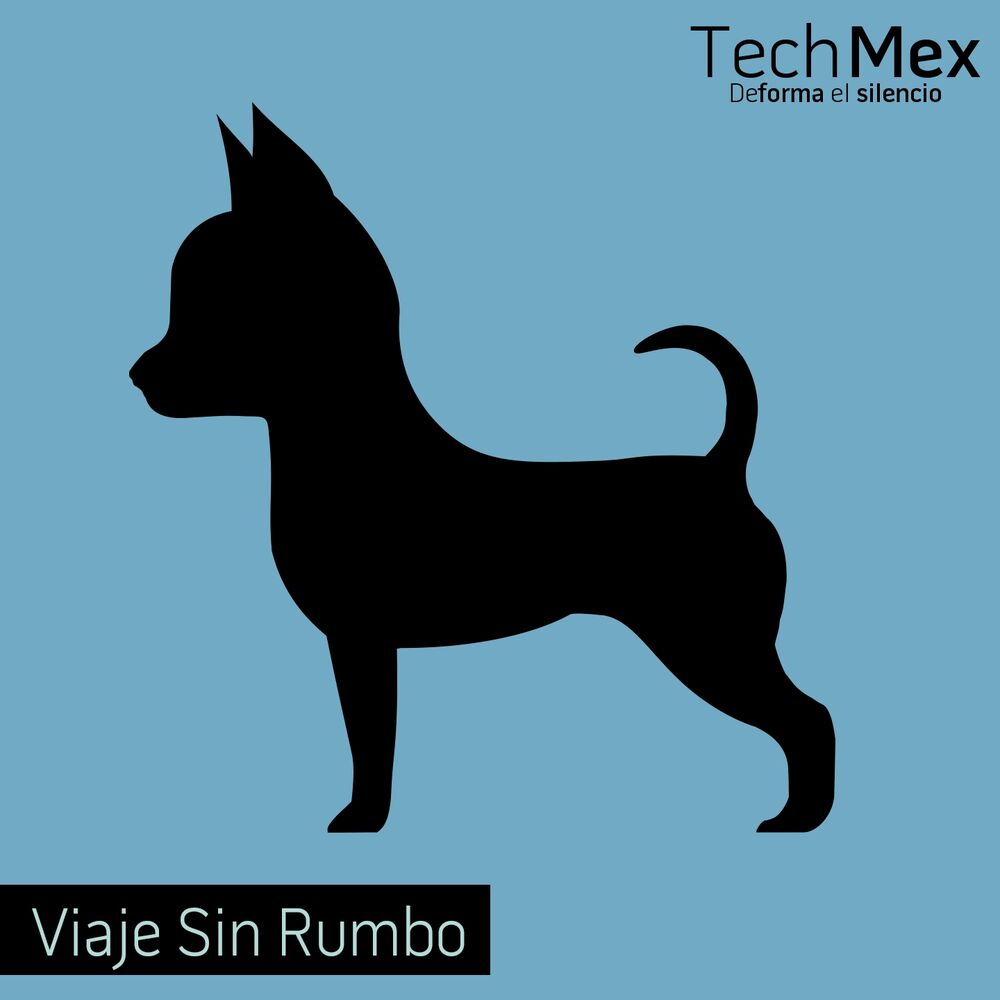 Picture of Viaje Sin Rumbo