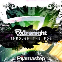 Cover of Through the Fog