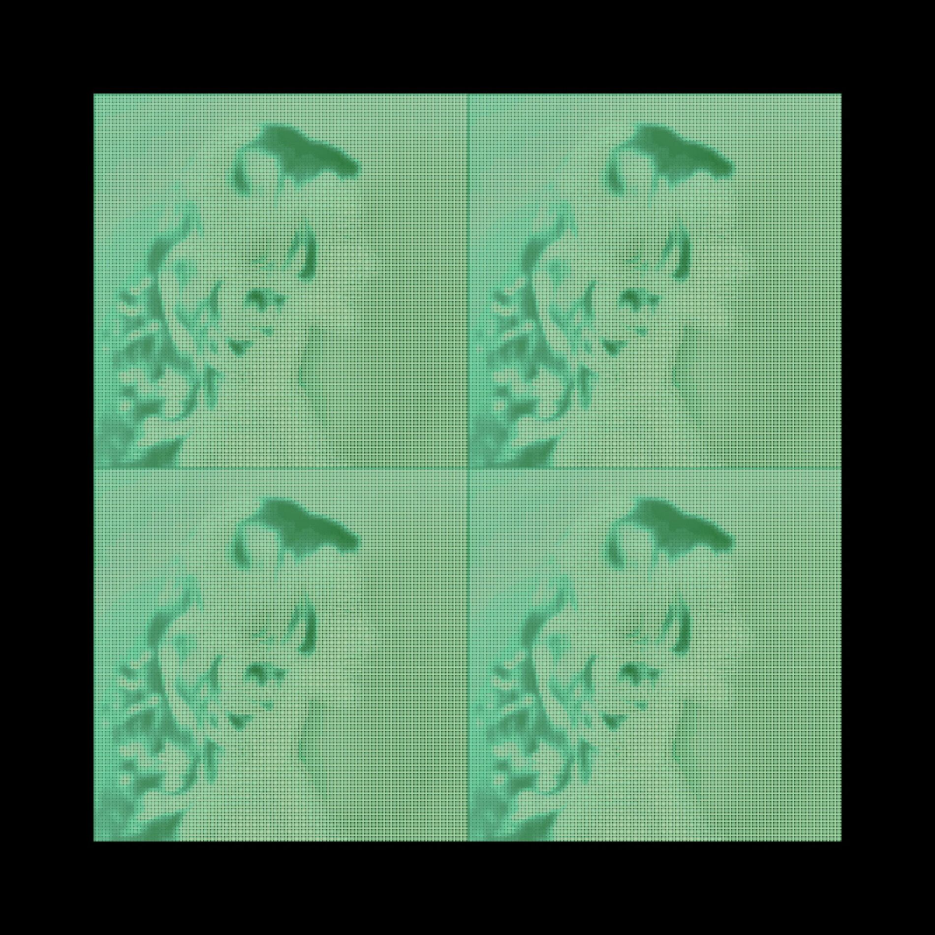 Album cover of Pretty Face (feat. Coqui)