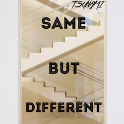 Cover of SAME BUT DIFFERENT