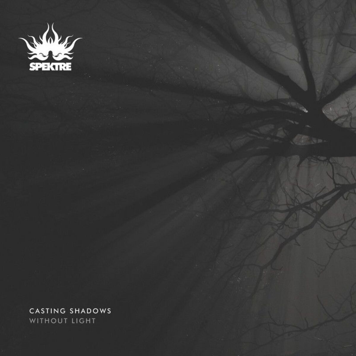 Album cover of Casting Shadows Without Light