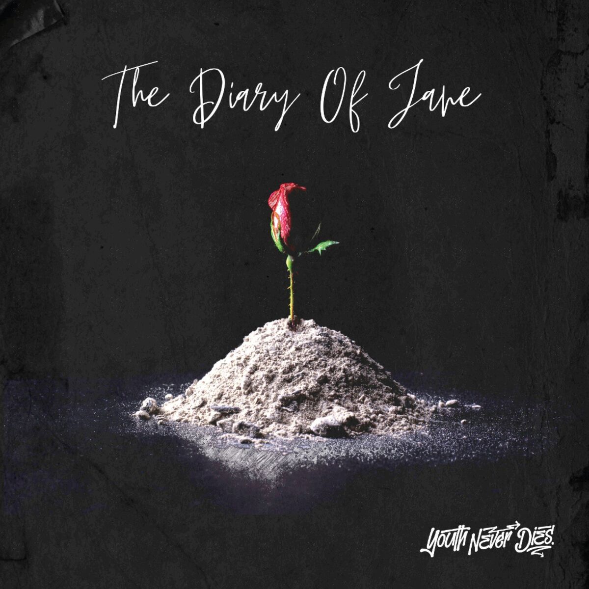 Album cover of The Diary of Jane