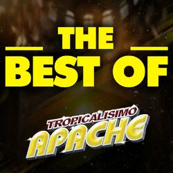Cover of THE BEST OF