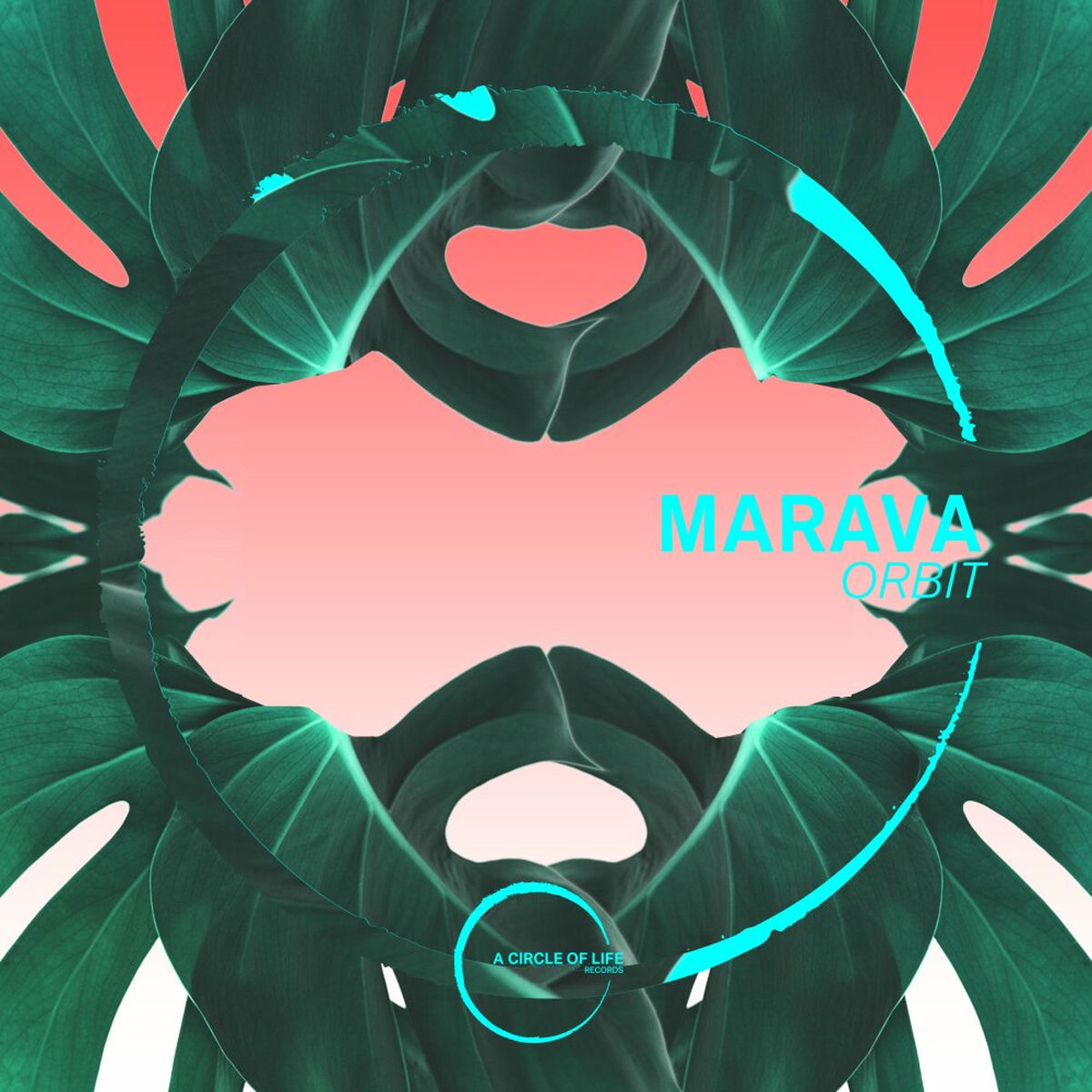 Album cover of Orbit