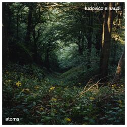 Cover of Atoms