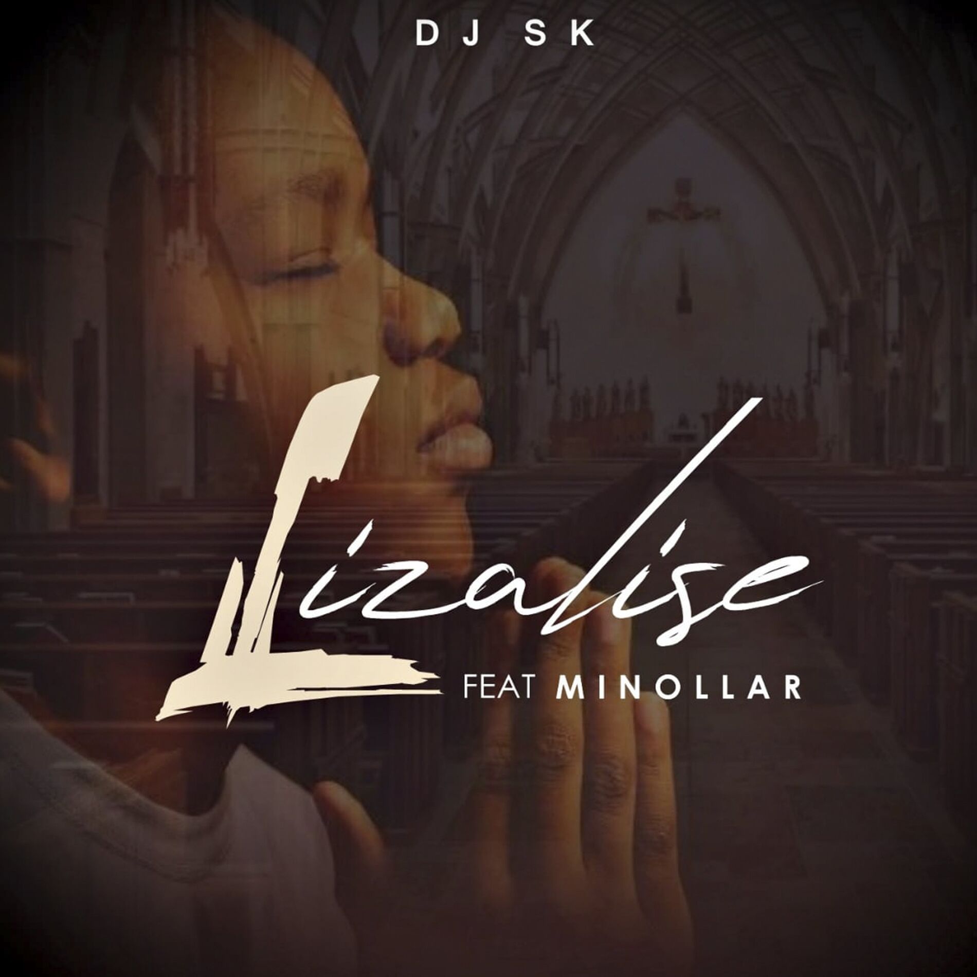 Album cover of Lizalise