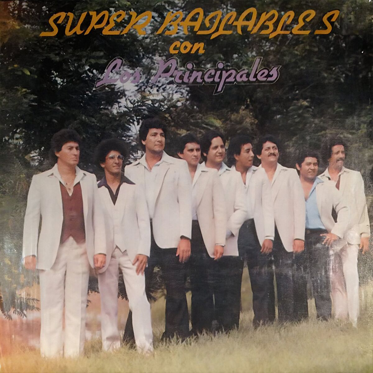 Album cover of Super Bailables