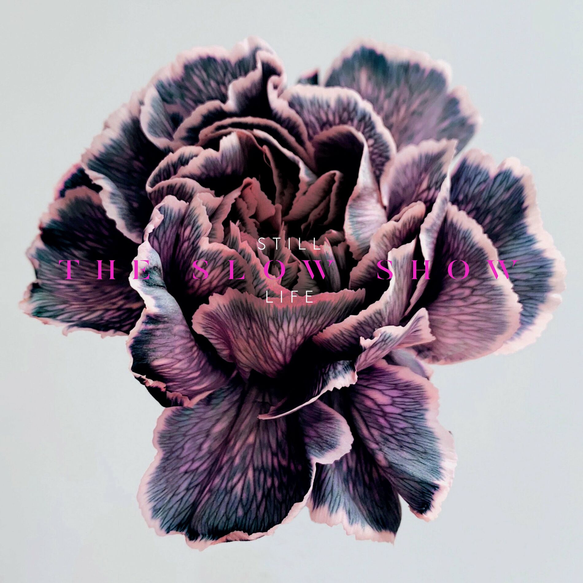 Album cover of STILL LIFE